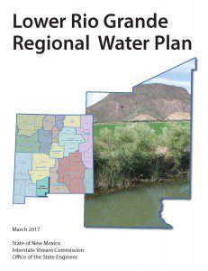 Reg11_LowerRioGrande_RegionalWaterPlan2017